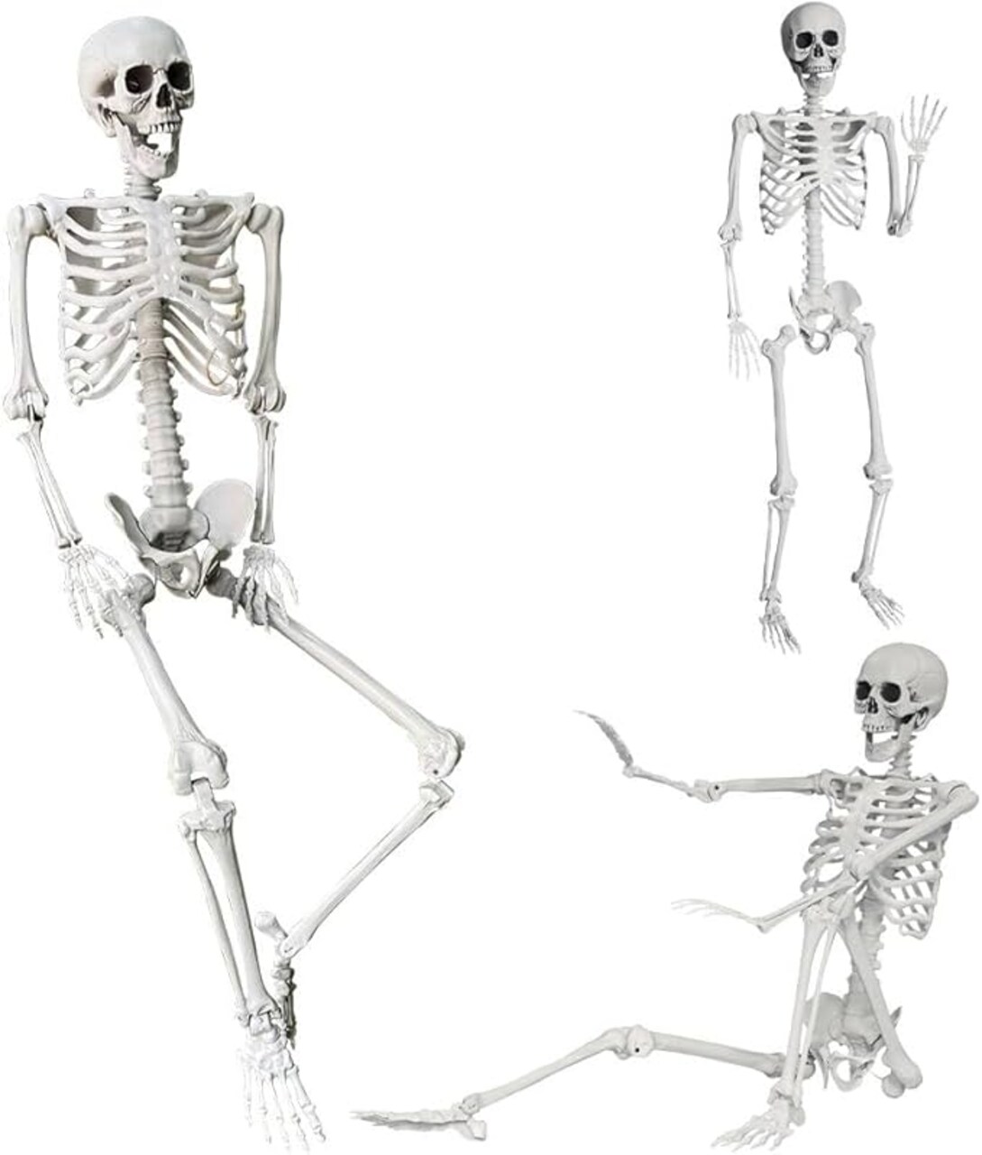165cm Halloween Skeleton Full Body Life Size Human Bones with Movable Joints for Indoor Outdoor Halloween Props Decorations